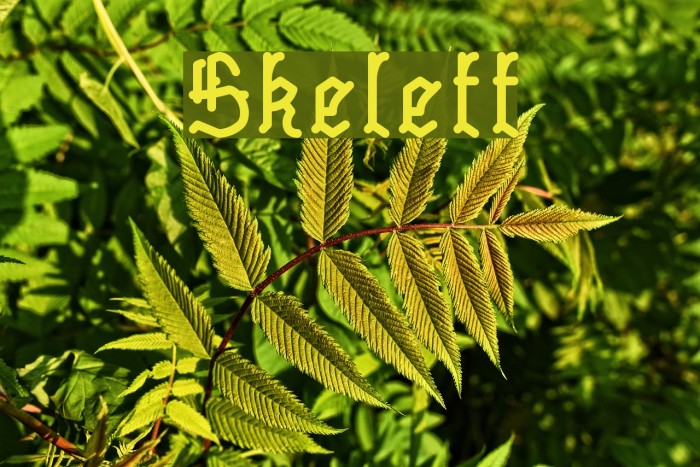 Skelett フォント examples