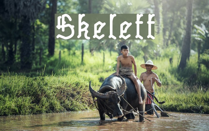 Skelett フォント examples