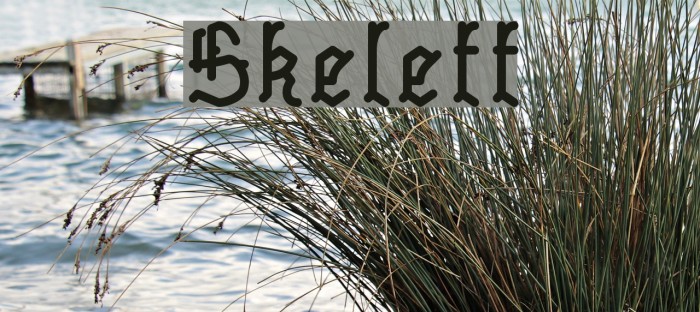 Skelett フォント examples