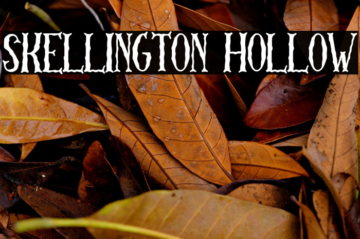Skellington Hollow Example 2