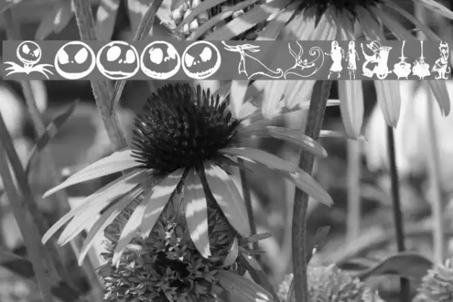 Skellingtonbats Font examples