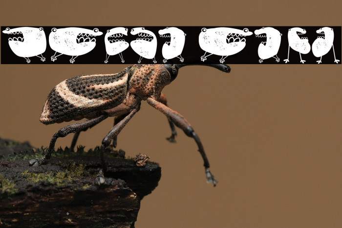 Skepping Regular Example 2