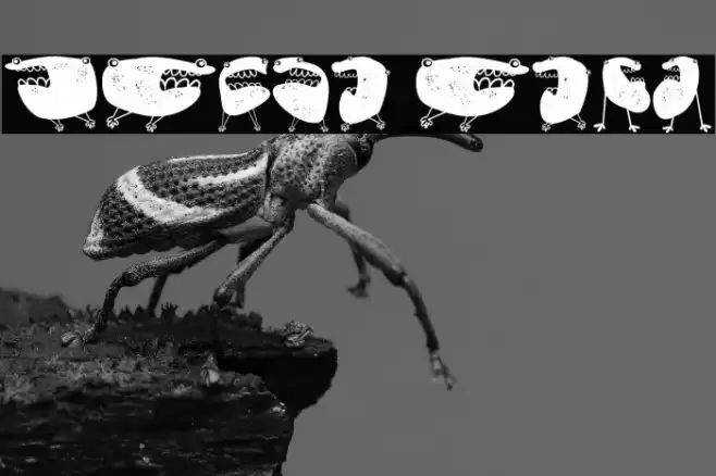 Skepping Regular Font examples