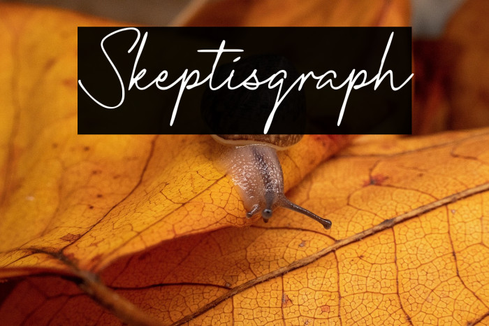 Skeptisgraph Example 2