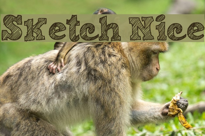 Sketch Nice Example 1