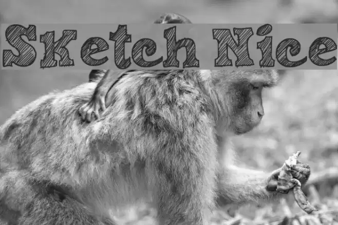 Sketch Nice Font examples
