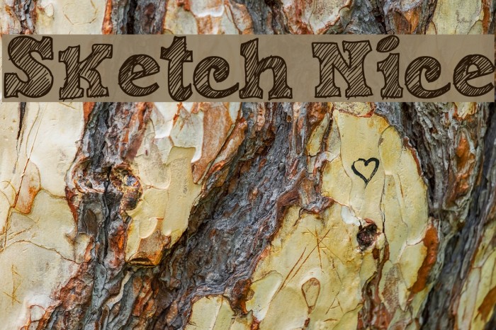 Sketch Nice Example 3