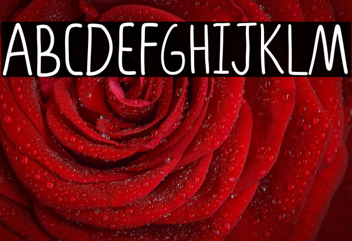 Sketch Paper Example 1