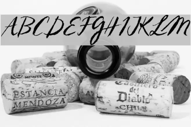 Sketch ScriptRegular Font examples