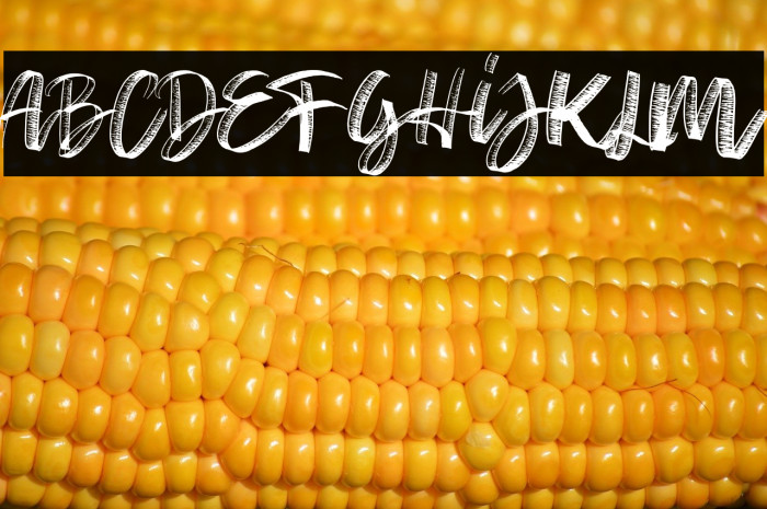 Sketch Time Regular Example 2