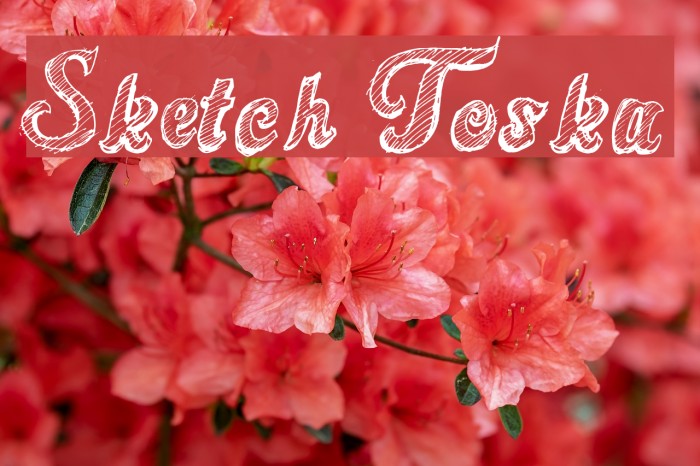 Sketch Toska Example 1