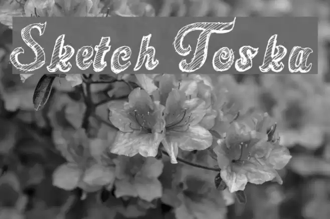Sketch Toska Font examples