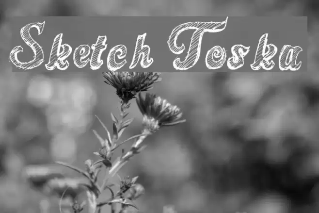 Sketch Toska Font examples