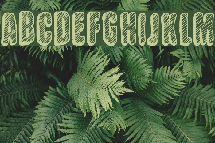 Sketch Wall 1 Font examples