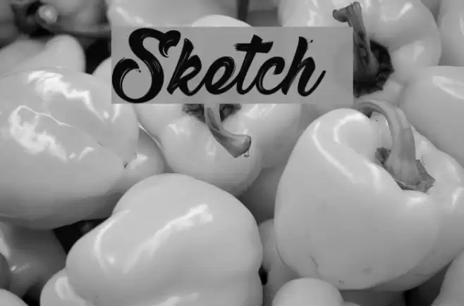 Sketch  Font examples