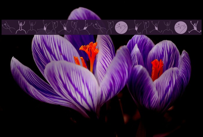 SketchAsScatchCan Example 2