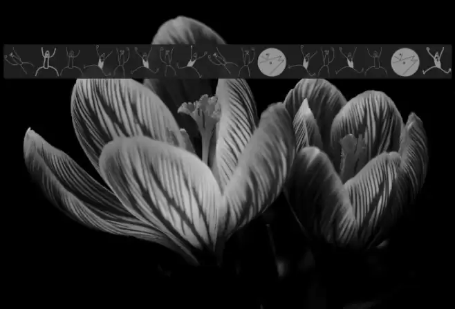 SketchAsScatchCan Font examples