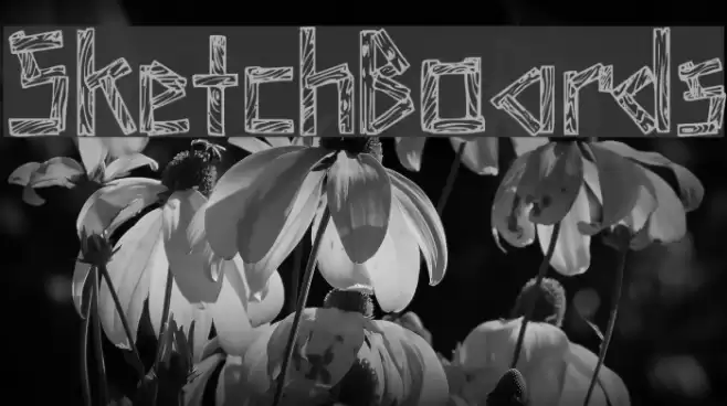 SketchBoards Font examples