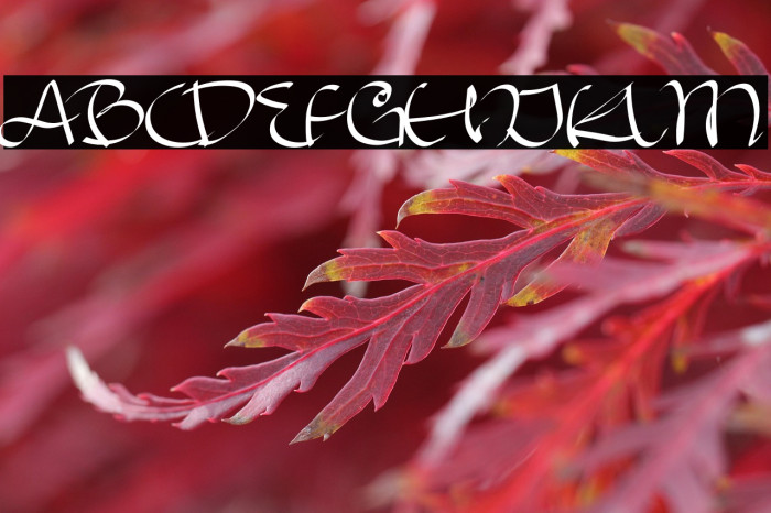 SketchCraftyRegular Example 2