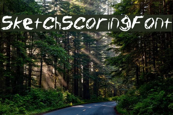 Sketch_Scoring_Font Font examples