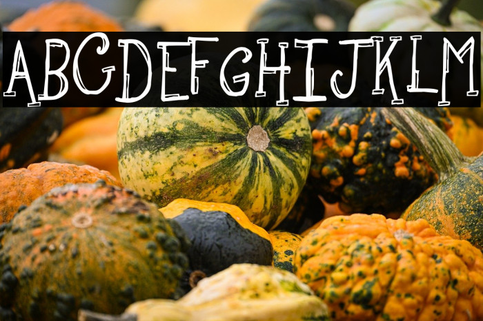 Sketchbook Example 3