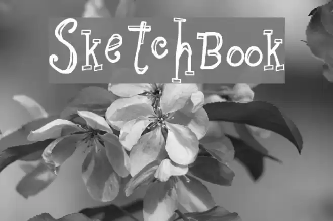 Sketchbook Font examples