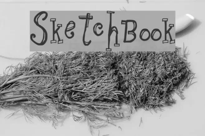 Sketchbook Font examples