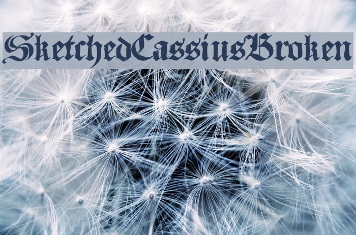 SketchedCassiusBroken Font examples
