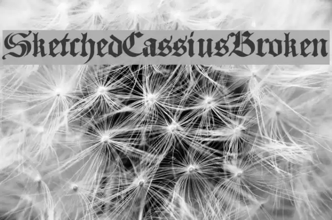 SketchedCassiusBroken フォント examples