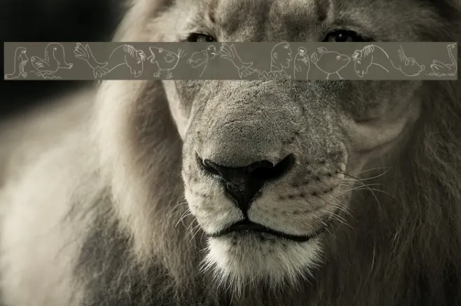 SketcheriaTwo Example 2