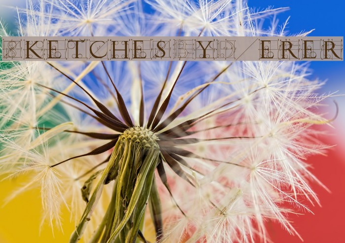 SketchesByDuerer Example 3