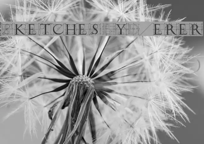 SketchesByDuerer Font examples