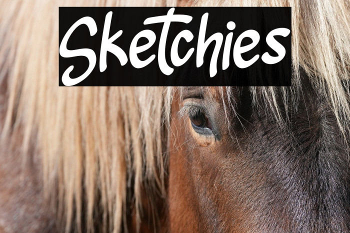 Sketchies Example 1