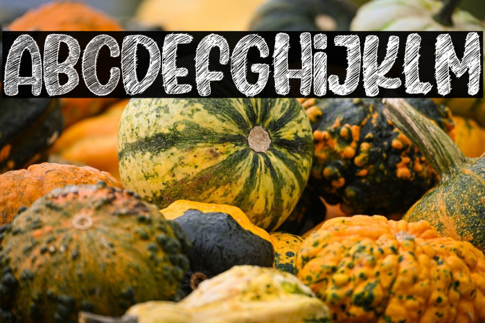 Sketching Universe Example 3