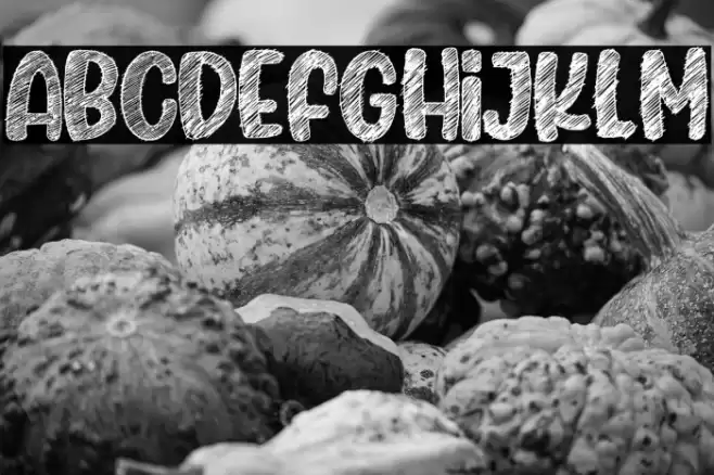 Sketching Universe フォント examples