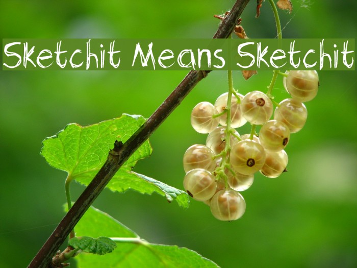 Sketchit Means Sketchit Font examples