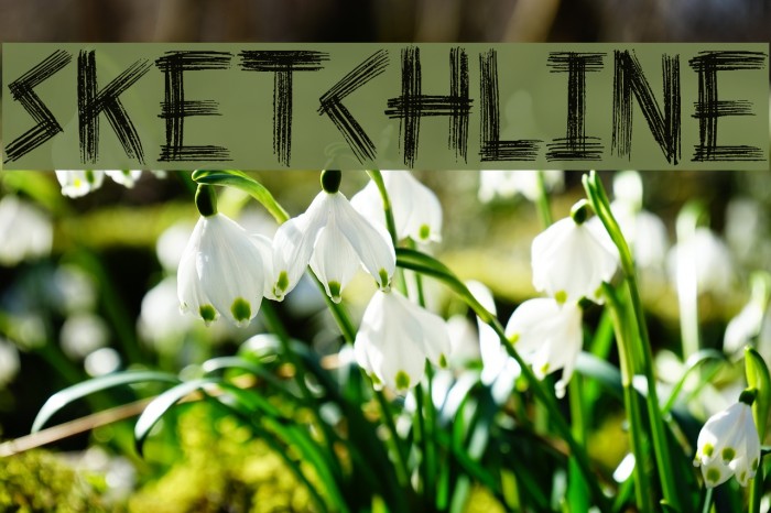 Sketchline Example 1