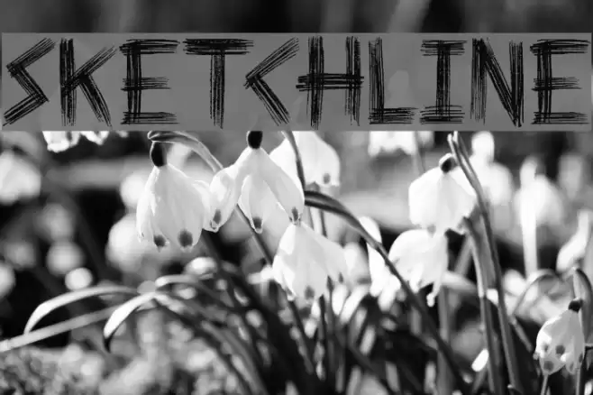 Sketchline Font examples