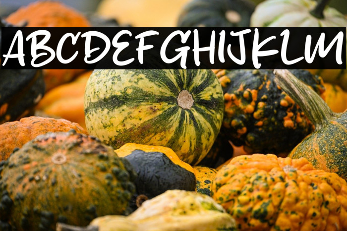 Sketchy Brush Polices examples