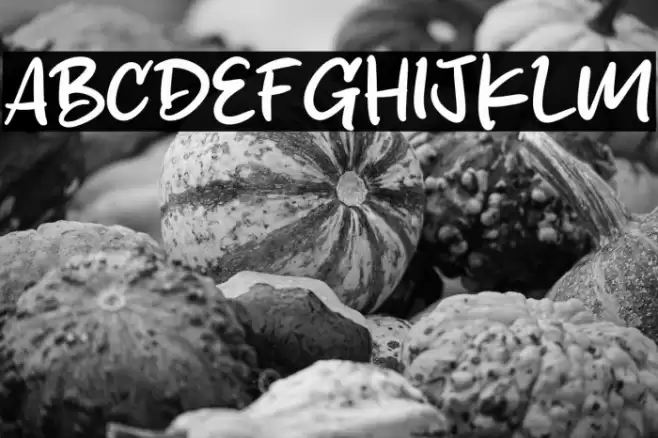 Sketchy Brush Font examples