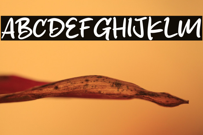 Sketchy Brush Polices examples