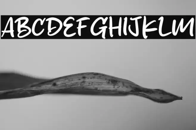 Sketchy Brush Font examples