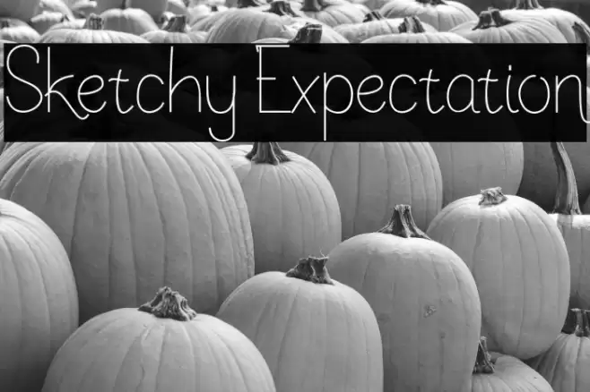 Sketchy Expectation Font examples