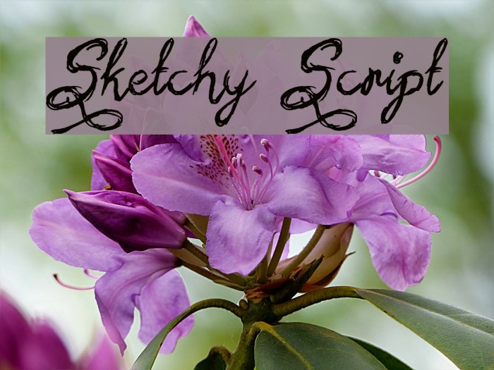 Sketchy Script Font examples