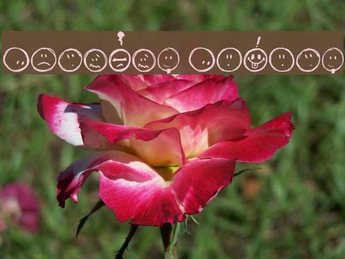 Sketchy Smiley Example 3