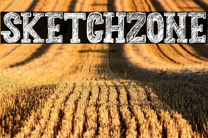 Sketchzone Example 3