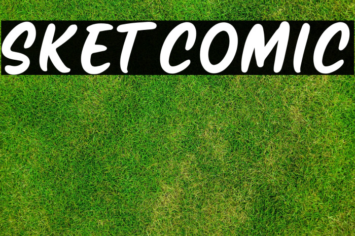 Sketcomic Example 1