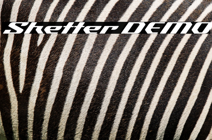 Sketter DEMO Example 1