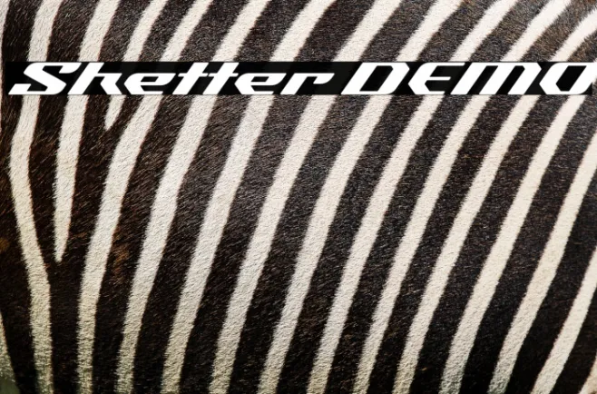 Sketter DEMO Example 1