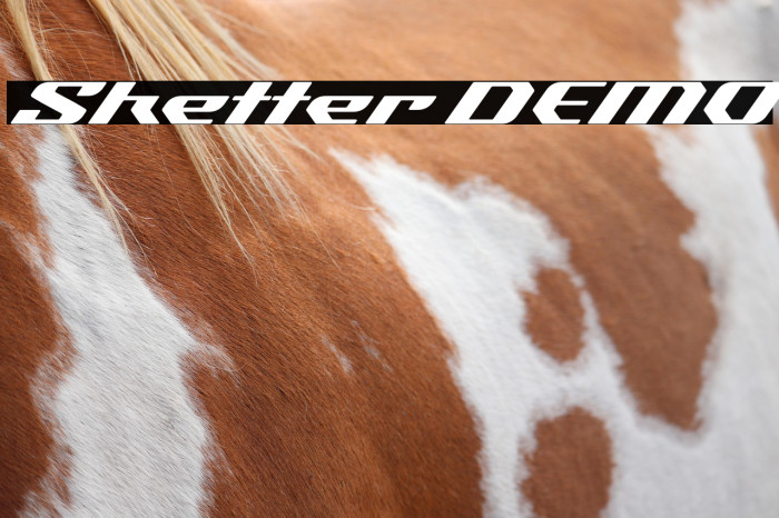 Sketter DEMO Example 3